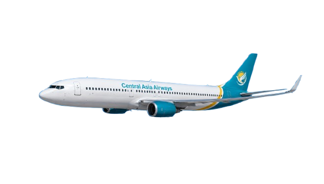 A351_neo_CAA-removebg-preview